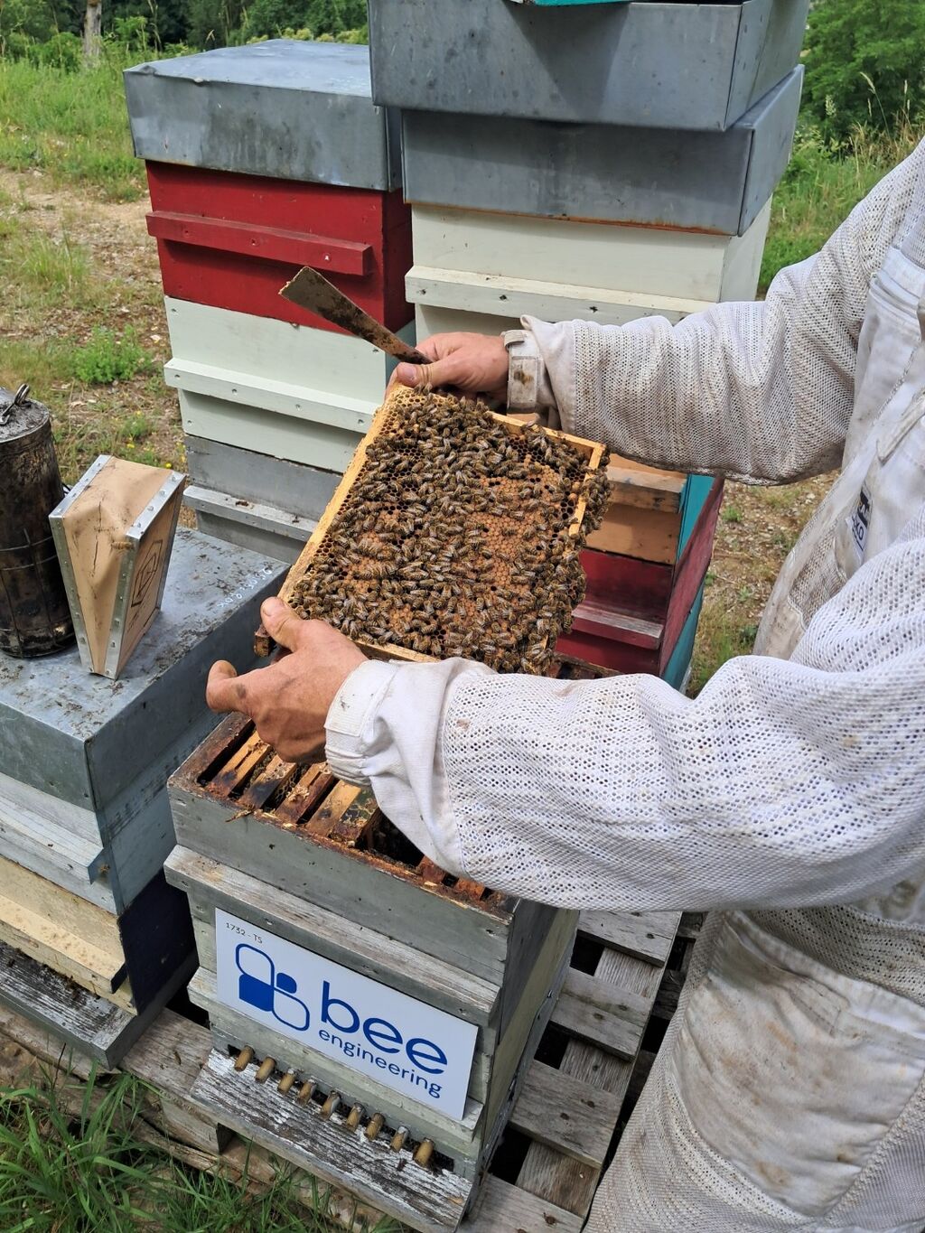 La ruche Bee engineering