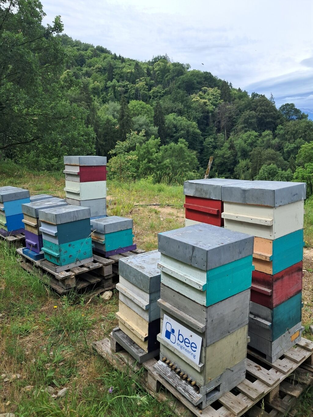 La ruche Bee engineering