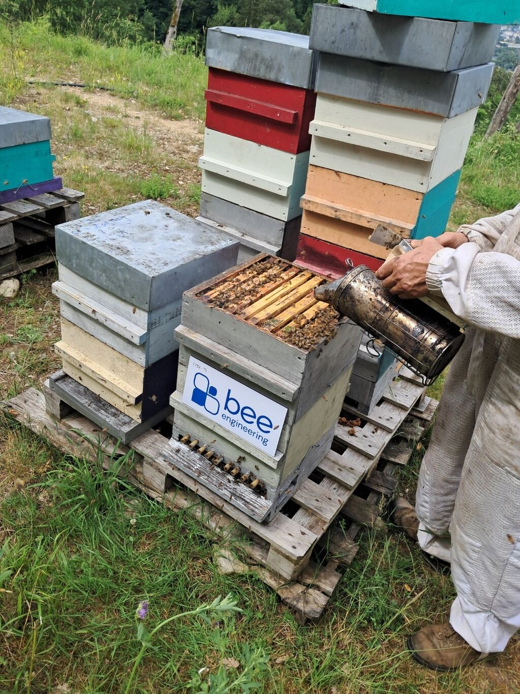 La ruche Bee engineering