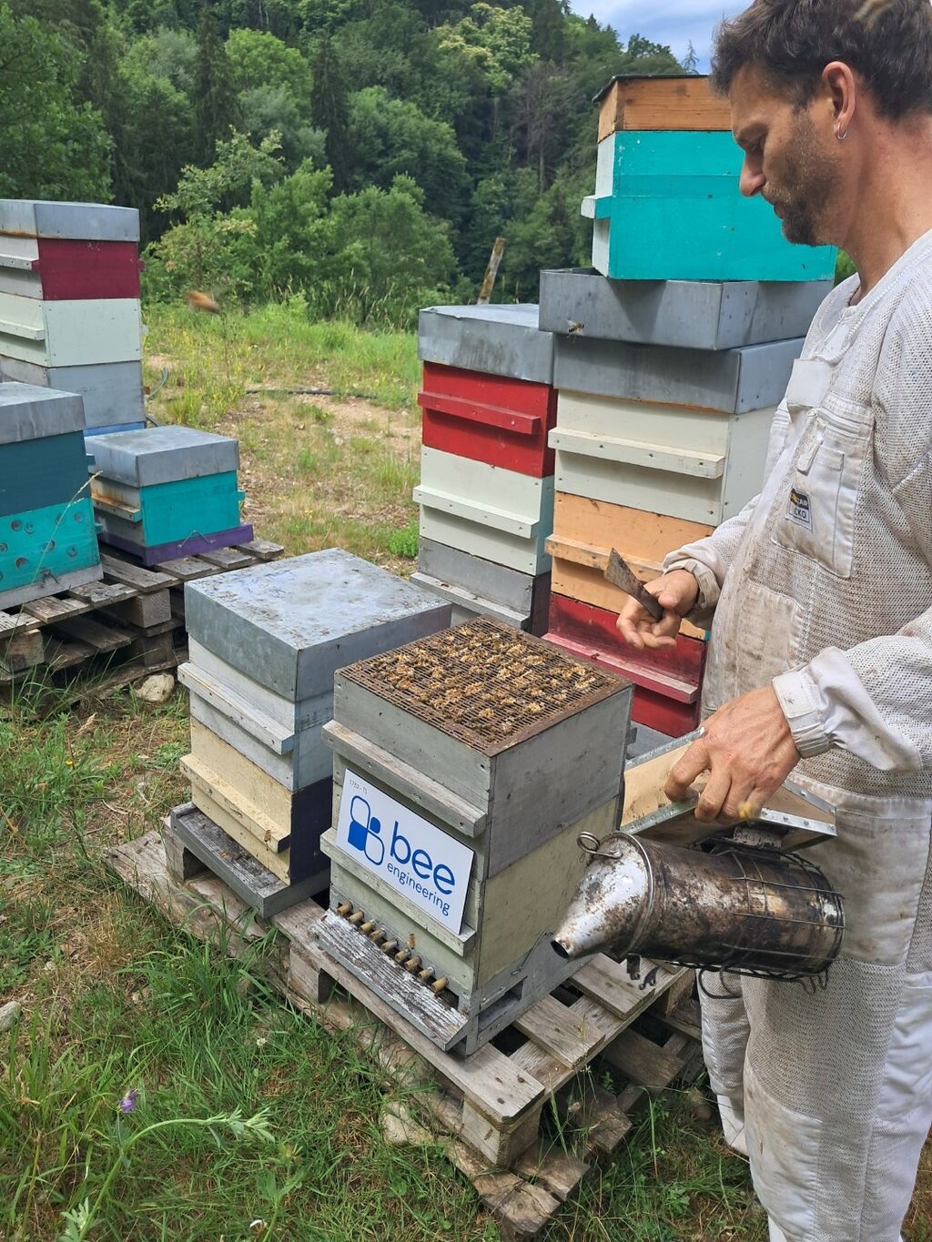 La ruche Bee engineering