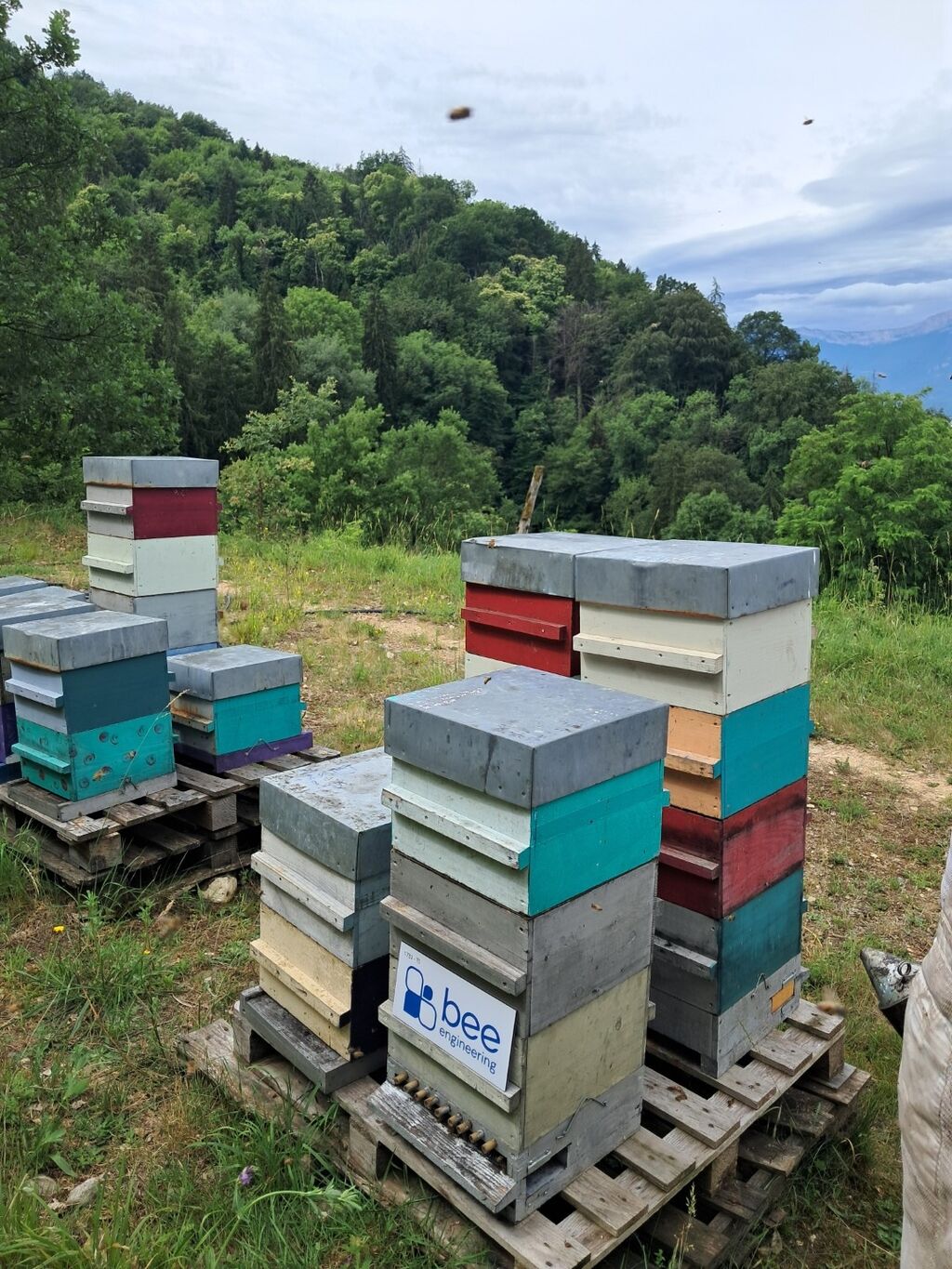 La ruche Bee engineering