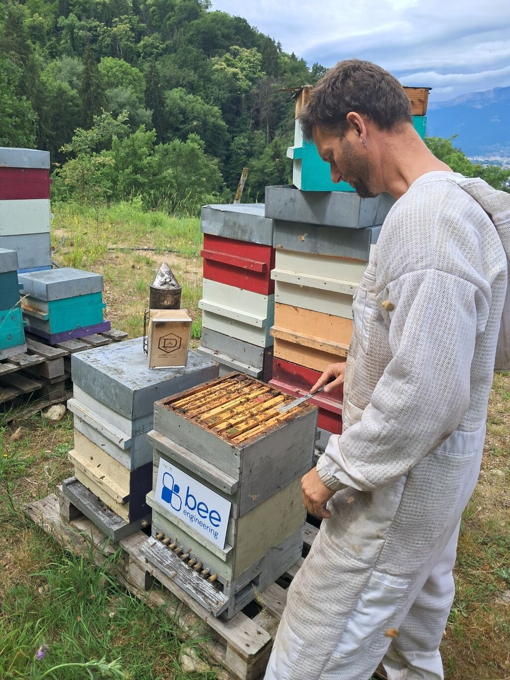 La ruche Bee engineering