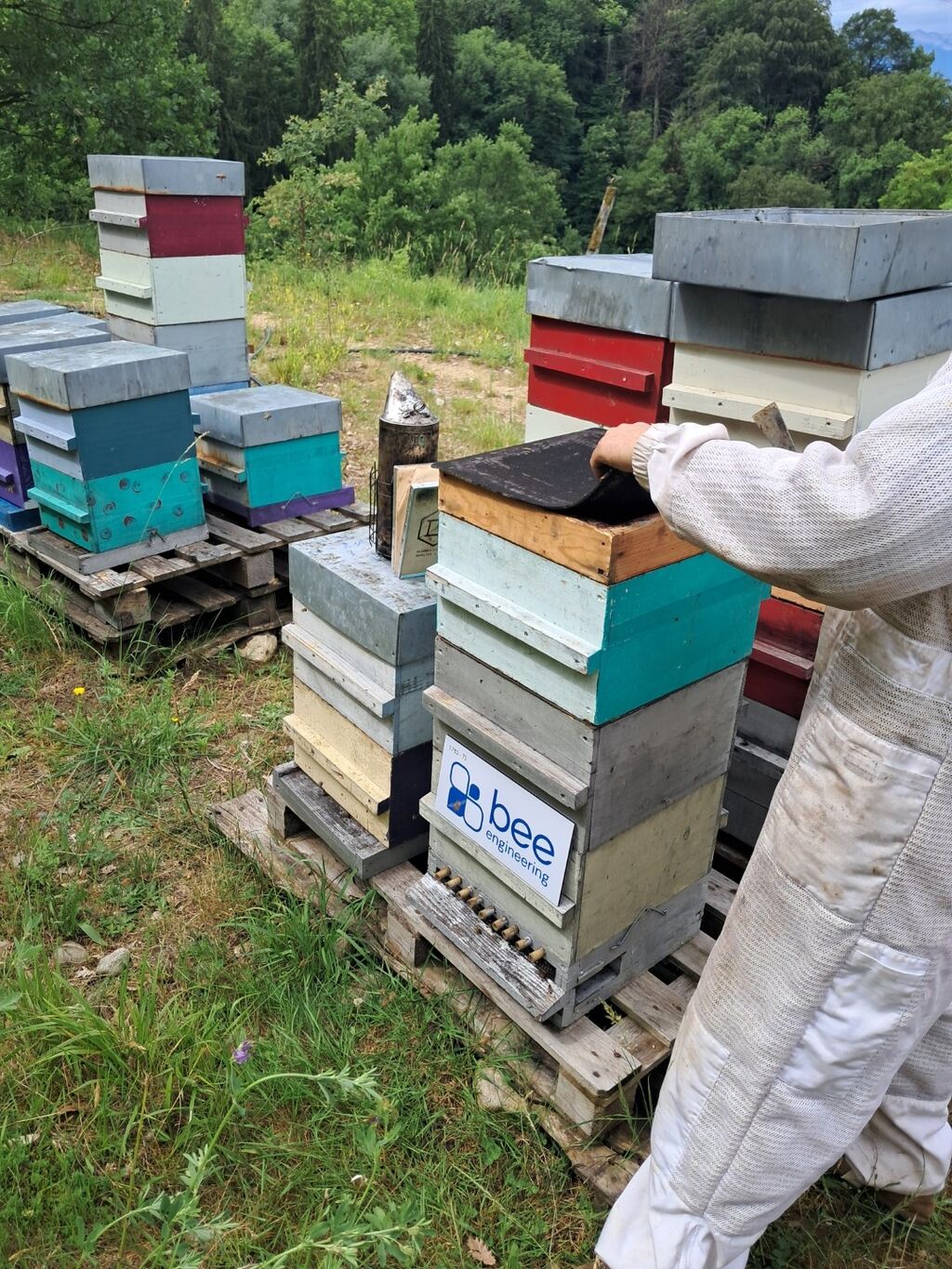 La ruche Bee engineering