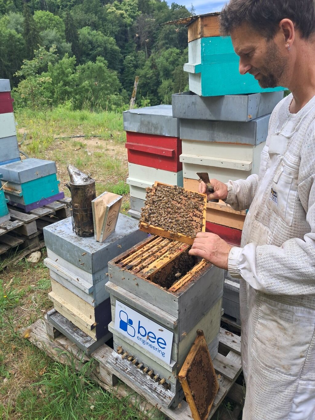 La ruche Bee engineering