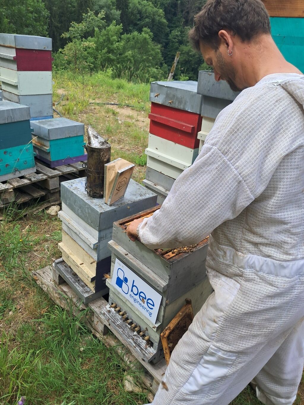 La ruche Bee engineering