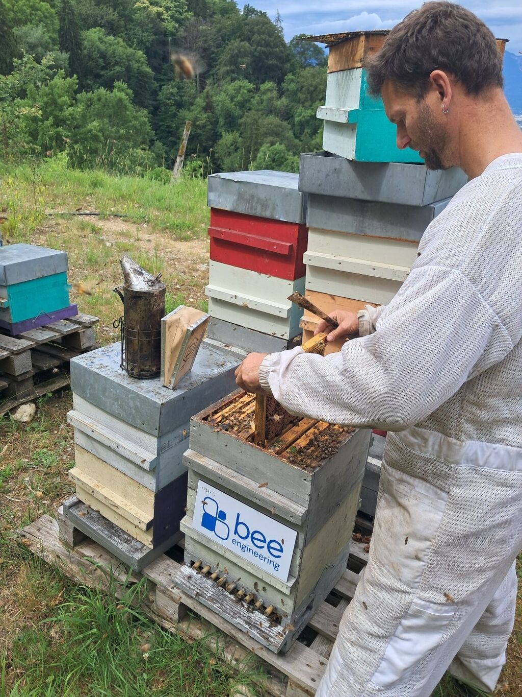 La ruche Bee engineering