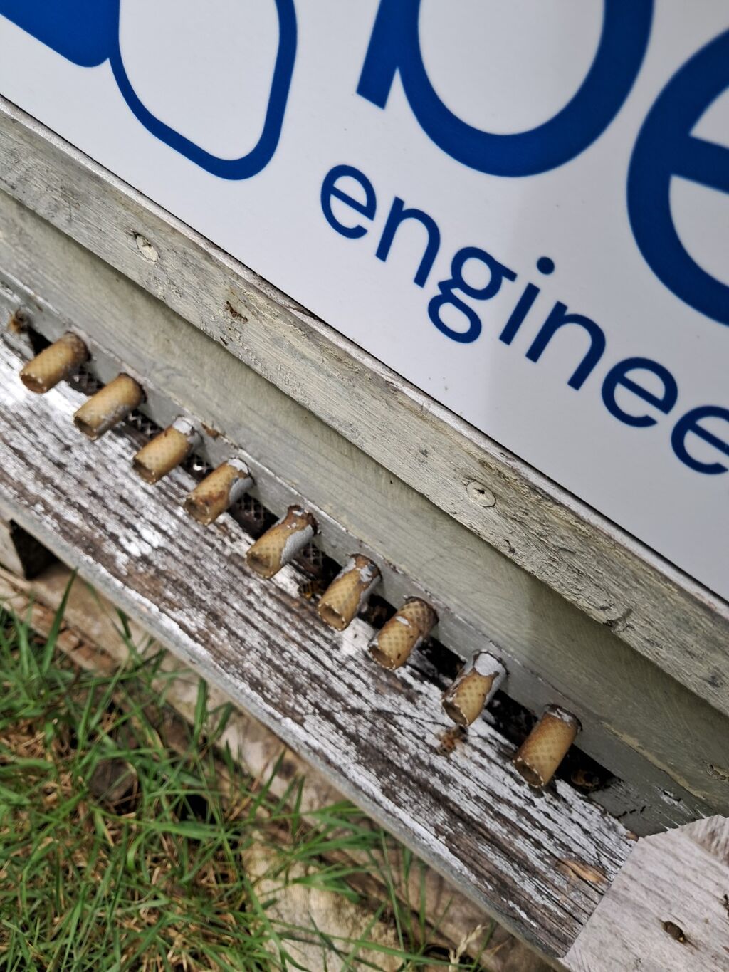 La ruche Bee engineering