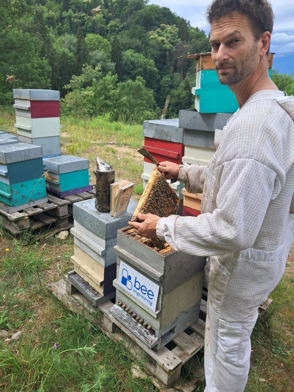 La ruche Bee engineering