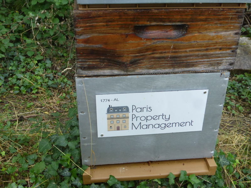 La ruche Paris Property Management