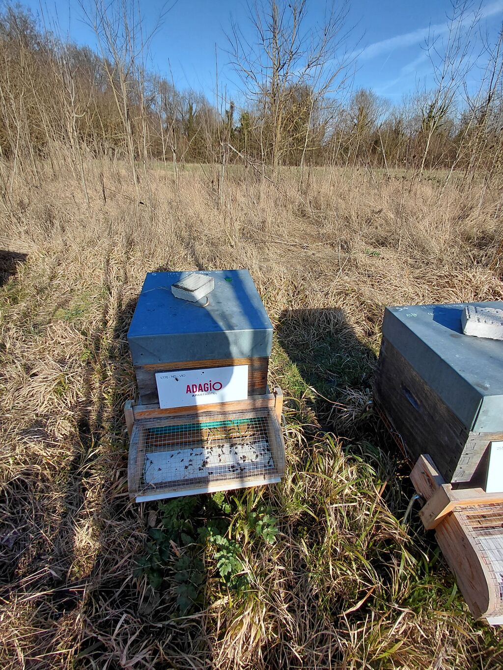 La ruche Adagio Serris-Val d