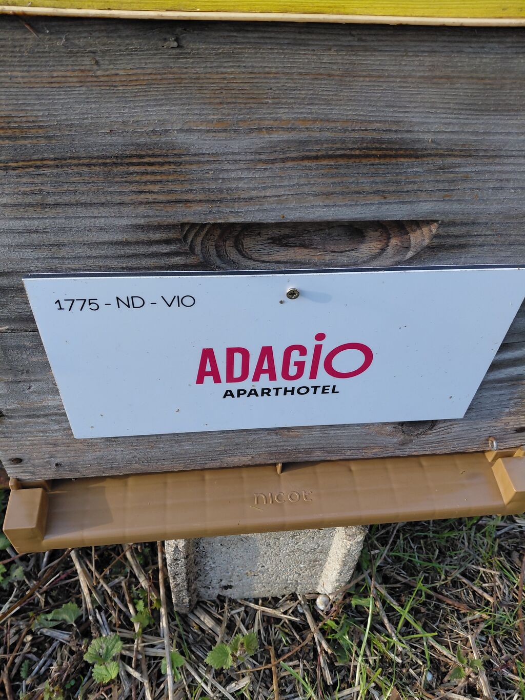 La ruche Adagio Serris-Val d