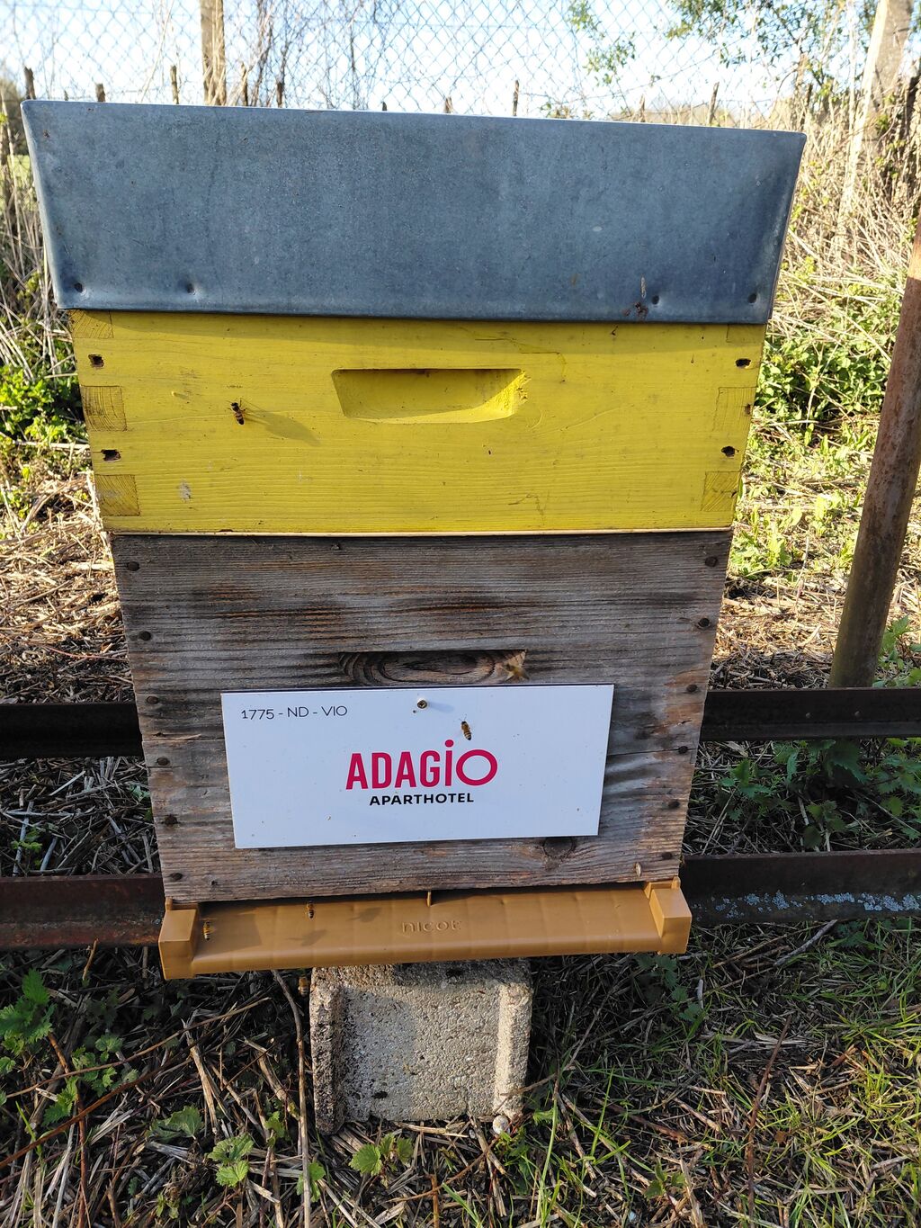 La ruche Adagio Serris-Val d