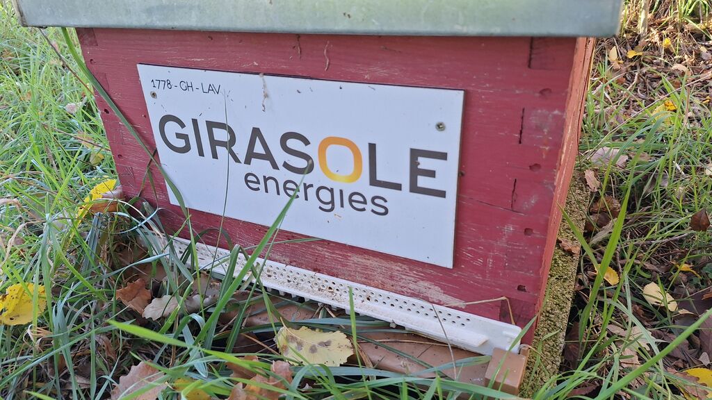 La ruche GIRASOLE SERVICES