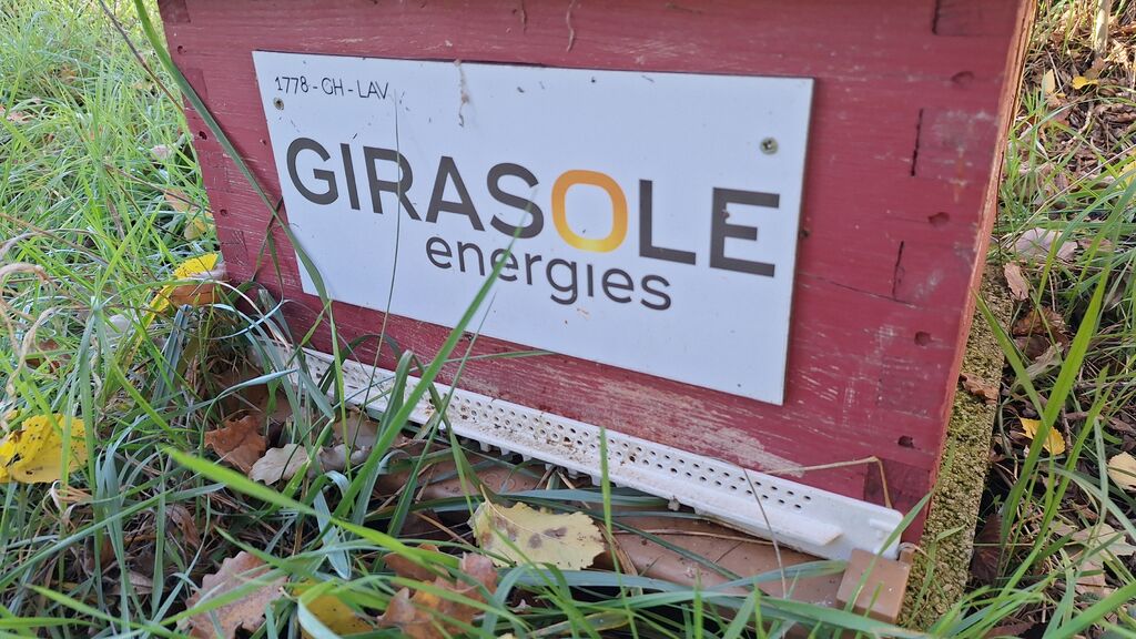 La ruche GIRASOLE SERVICES