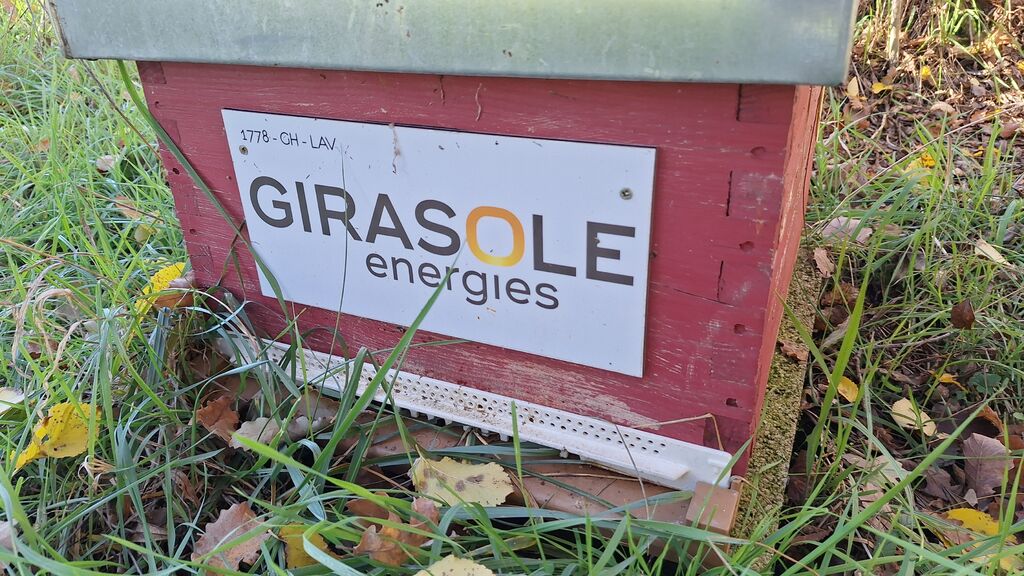 La ruche GIRASOLE SERVICES