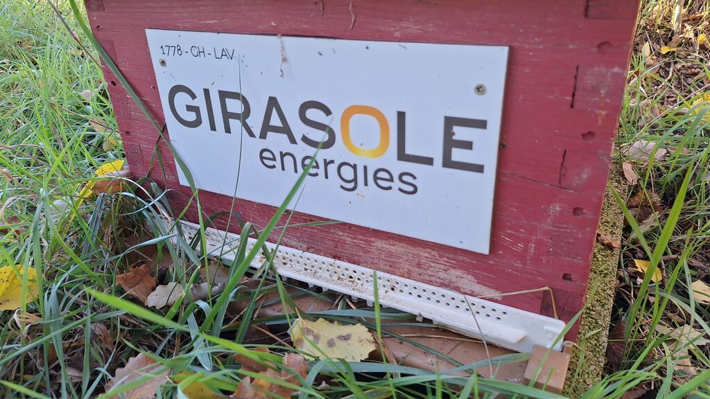 La ruche GIRASOLE SERVICES