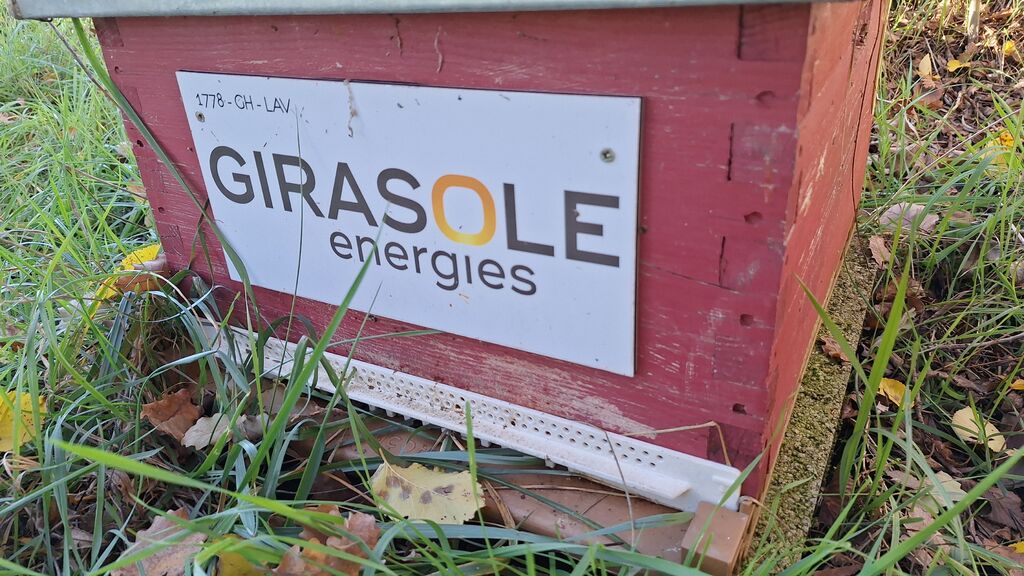 La ruche GIRASOLE SERVICES