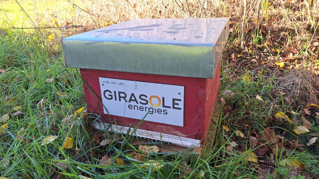 La ruche GIRASOLE SERVICES