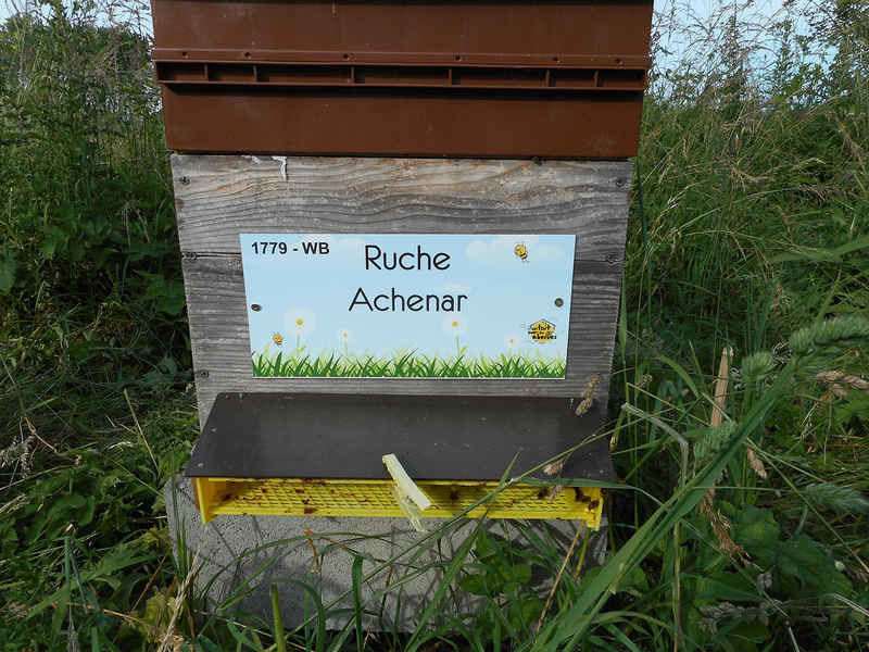La ruche