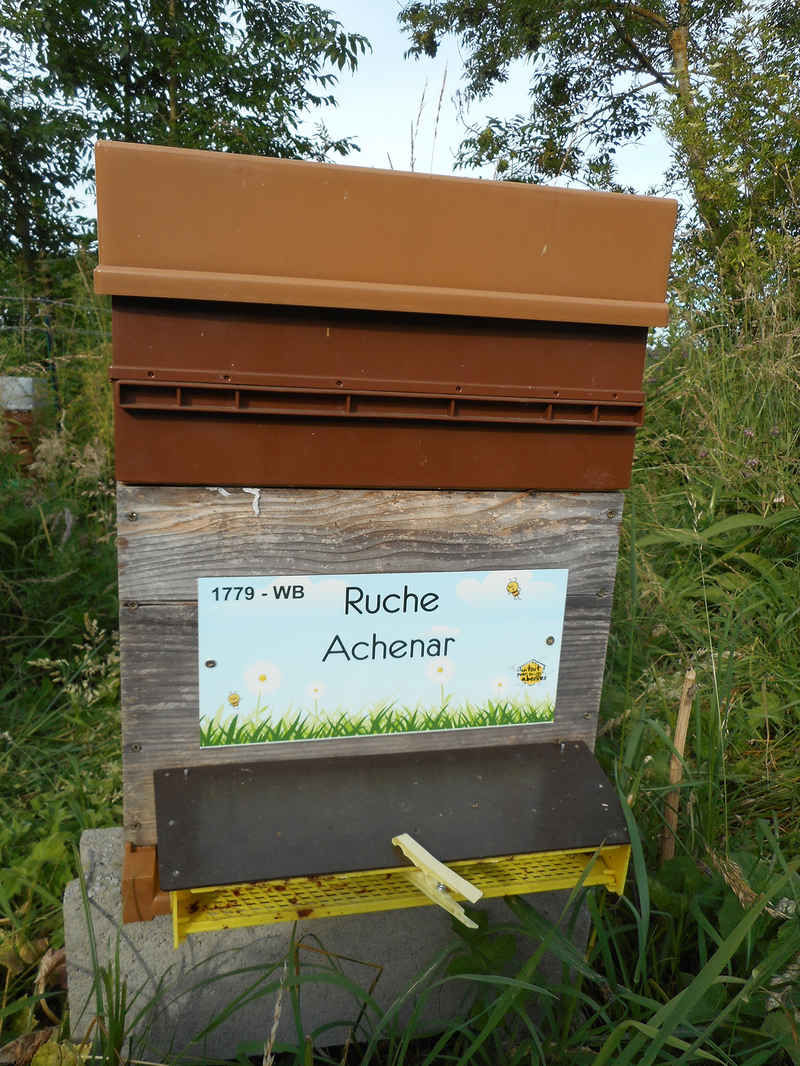 La ruche Achenar