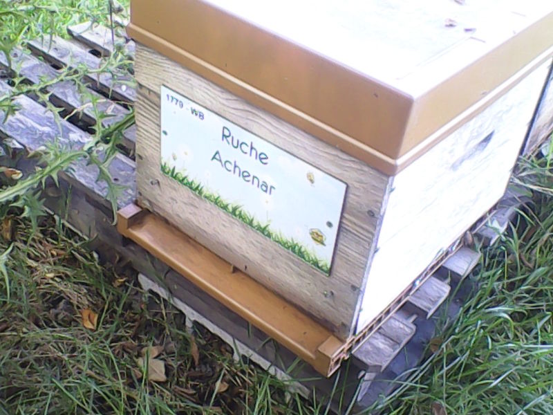 La ruche Achenar