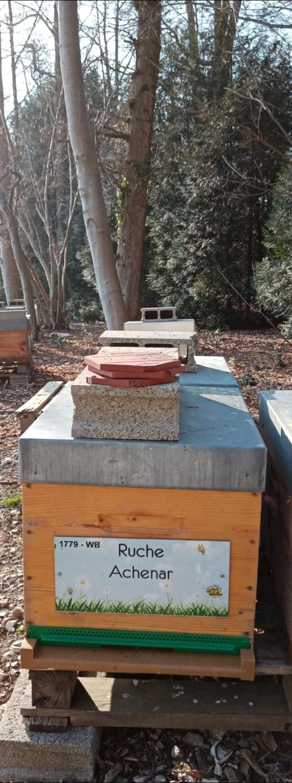 La ruche Achenar