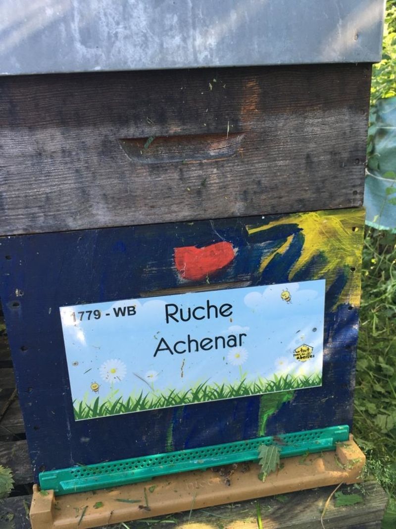La ruche Achenar