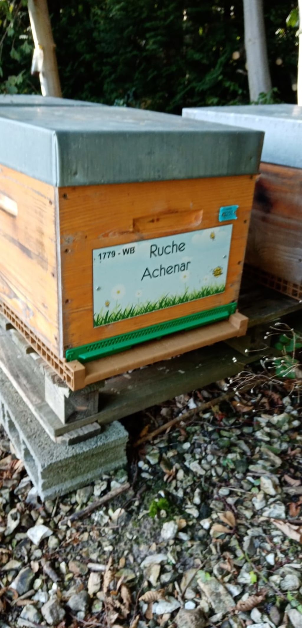La ruche Achenar