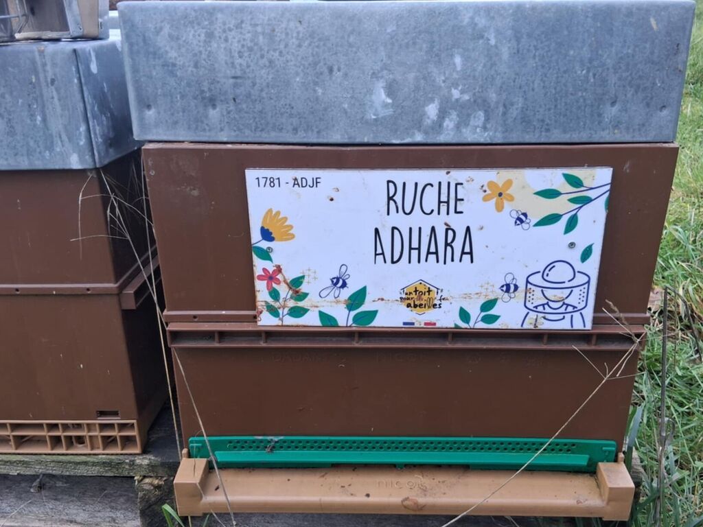 La ruche Adhara