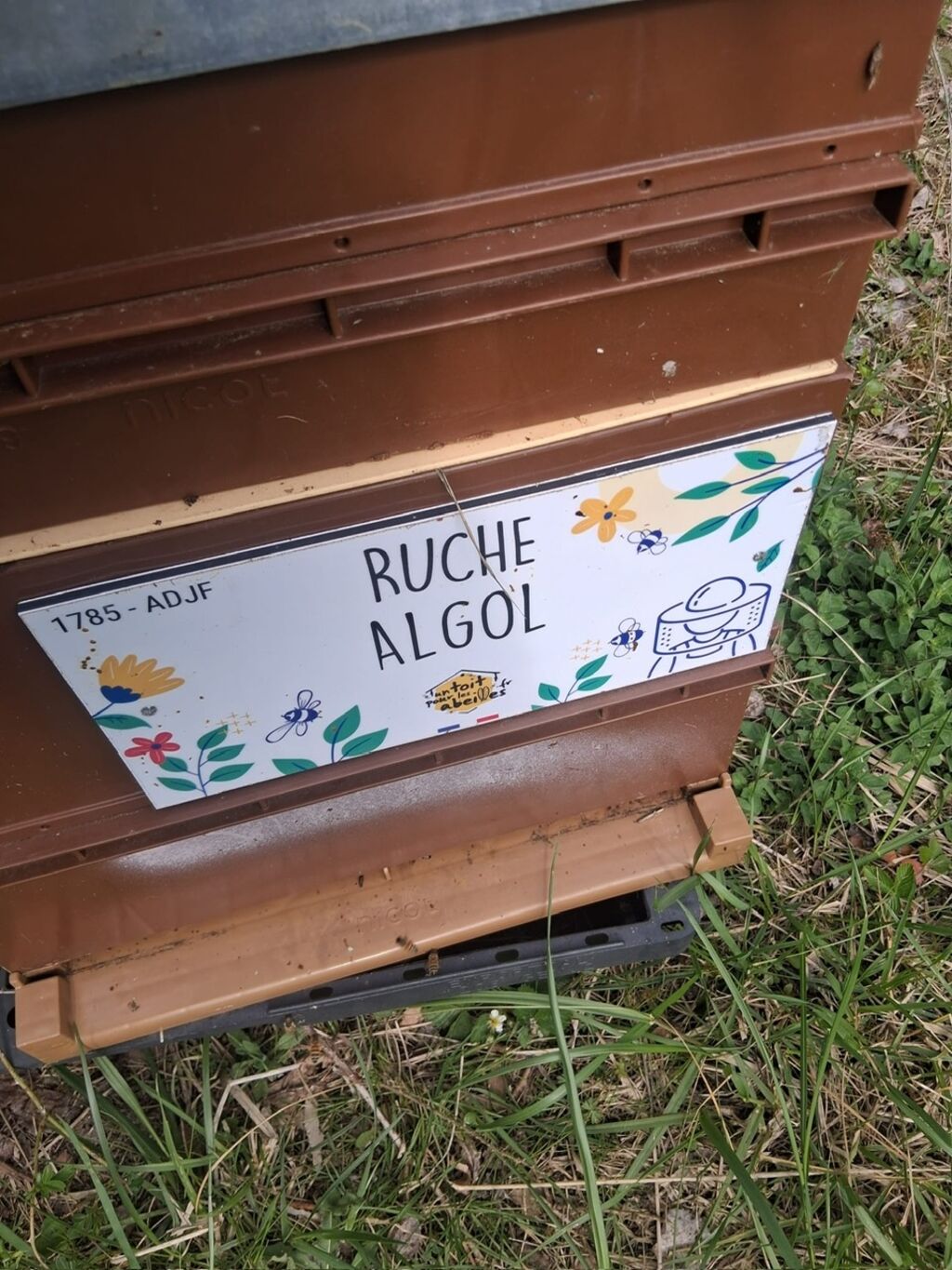 La ruche Algol