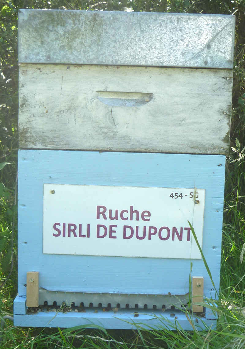 La ruche Sirli de dupont