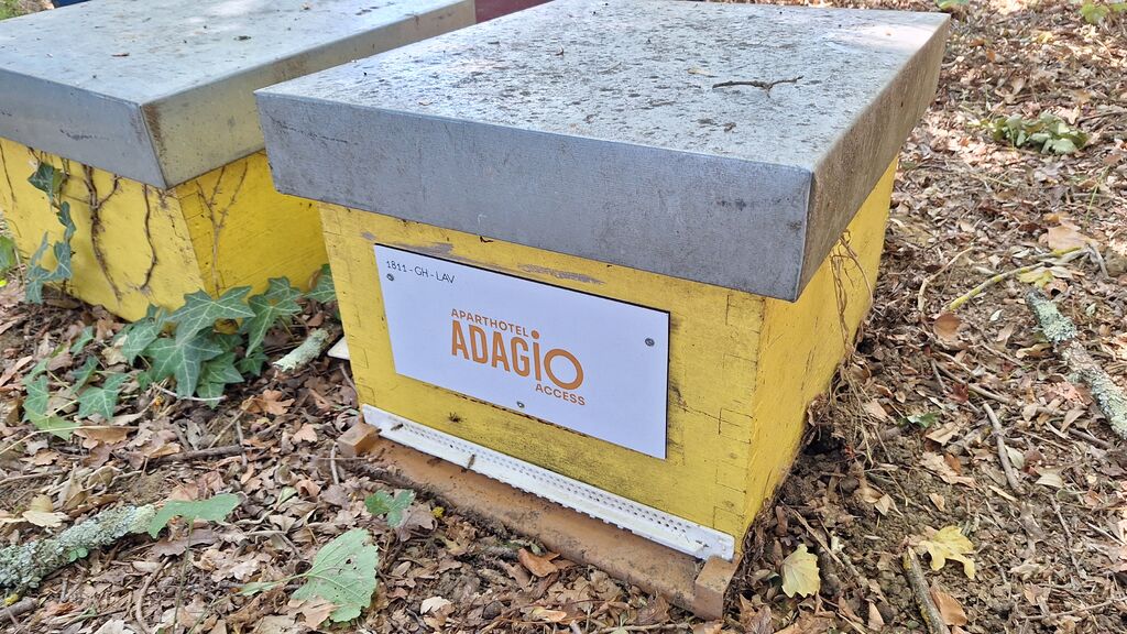 La ruche ADAGIO ACCESS TOULOUSE JOLIMONT