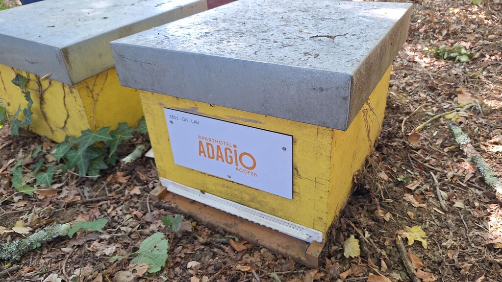 La ruche ADAGIO ACCESS TOULOUSE JOLIMONT