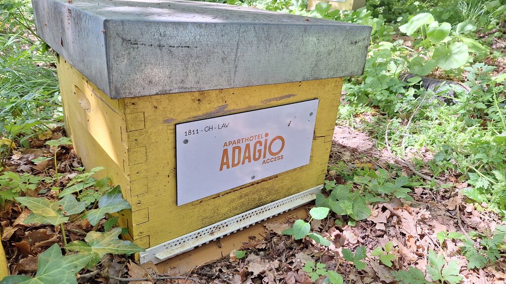 La ruche ADAGIO ACCESS TOULOUSE JOLIMONT 