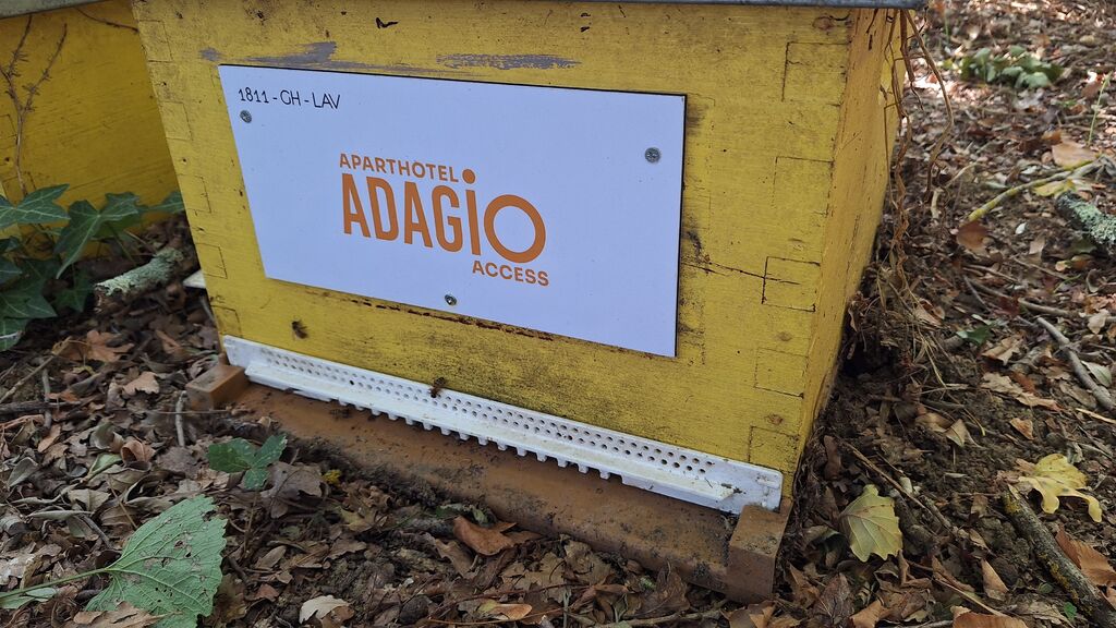 La ruche ADAGIO ACCESS TOULOUSE JOLIMONT