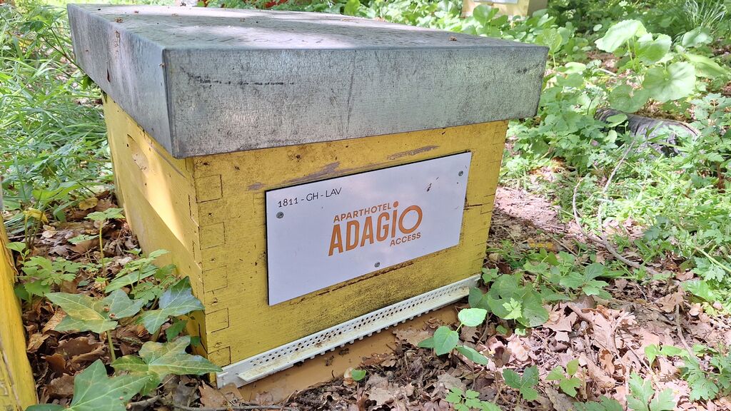 La ruche ADAGIO ACCESS TOULOUSE JOLIMONT 