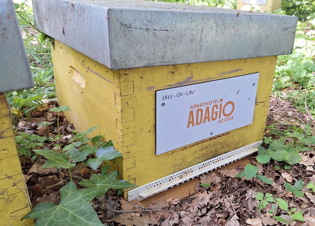 La ruche ADAGIO ACCESS TOULOUSE JOLIMONT 