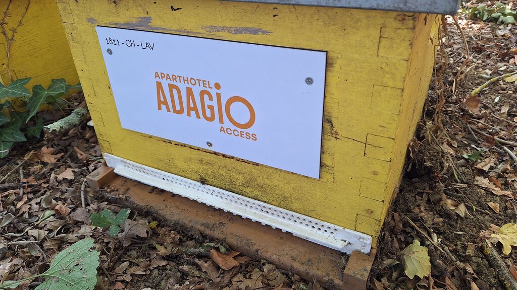La ruche ADAGIO ACCESS TOULOUSE JOLIMONT