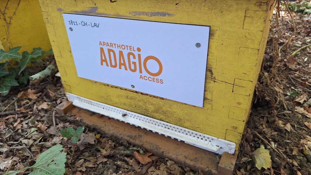 La ruche ADAGIO ACCESS TOULOUSE JOLIMONT