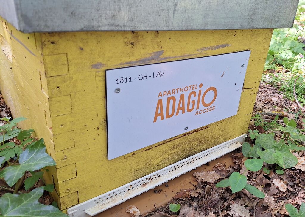 La ruche ADAGIO ACCESS TOULOUSE JOLIMONT 
