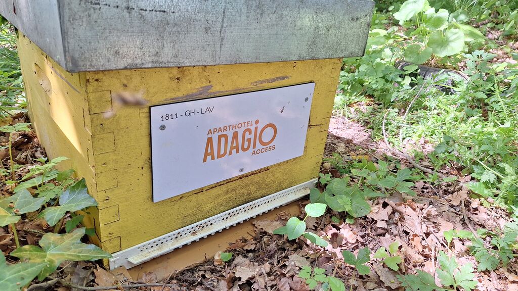 La ruche ADAGIO ACCESS TOULOUSE JOLIMONT 