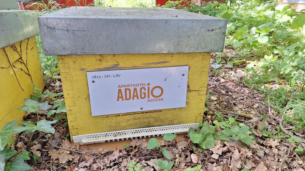La ruche ADAGIO ACCESS TOULOUSE JOLIMONT 