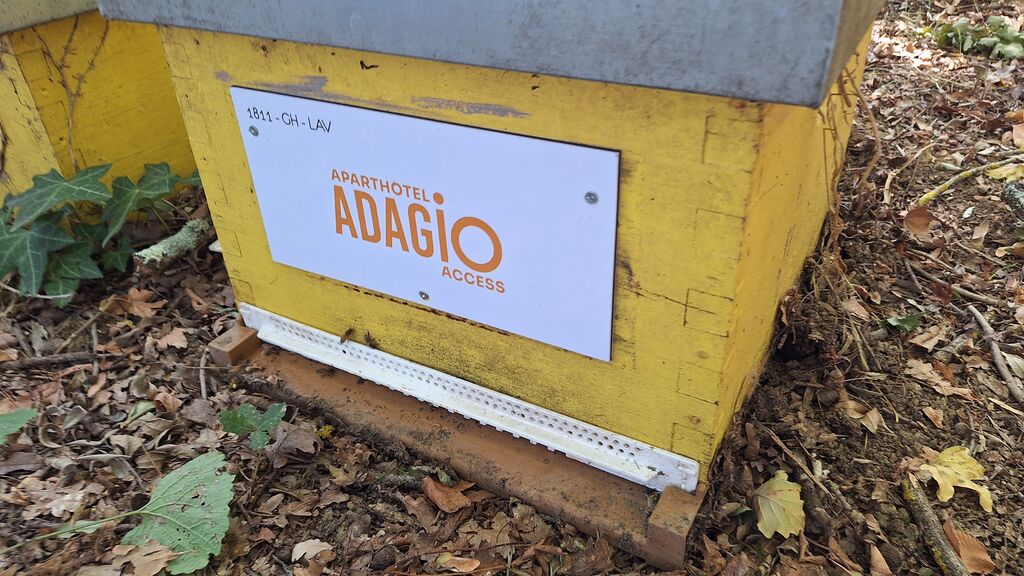 La ruche ADAGIO ACCESS TOULOUSE JOLIMONT