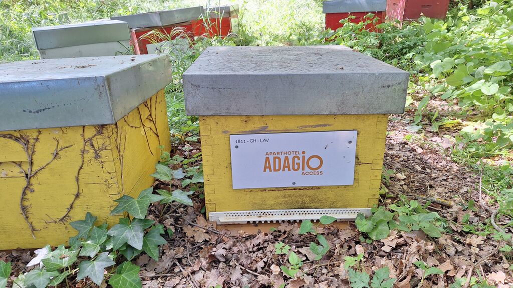 La ruche ADAGIO ACCESS TOULOUSE JOLIMONT 