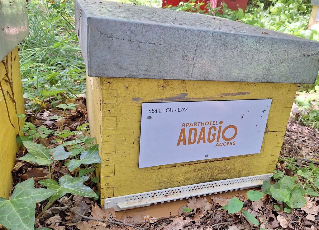 La ruche ADAGIO ACCESS TOULOUSE JOLIMONT 