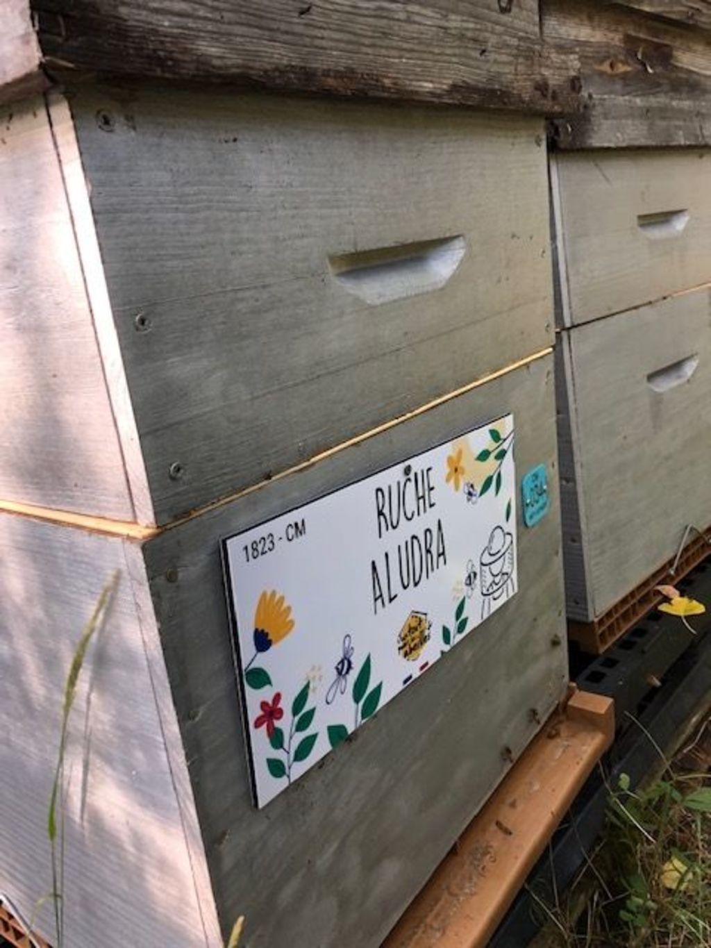 La ruche Aludra