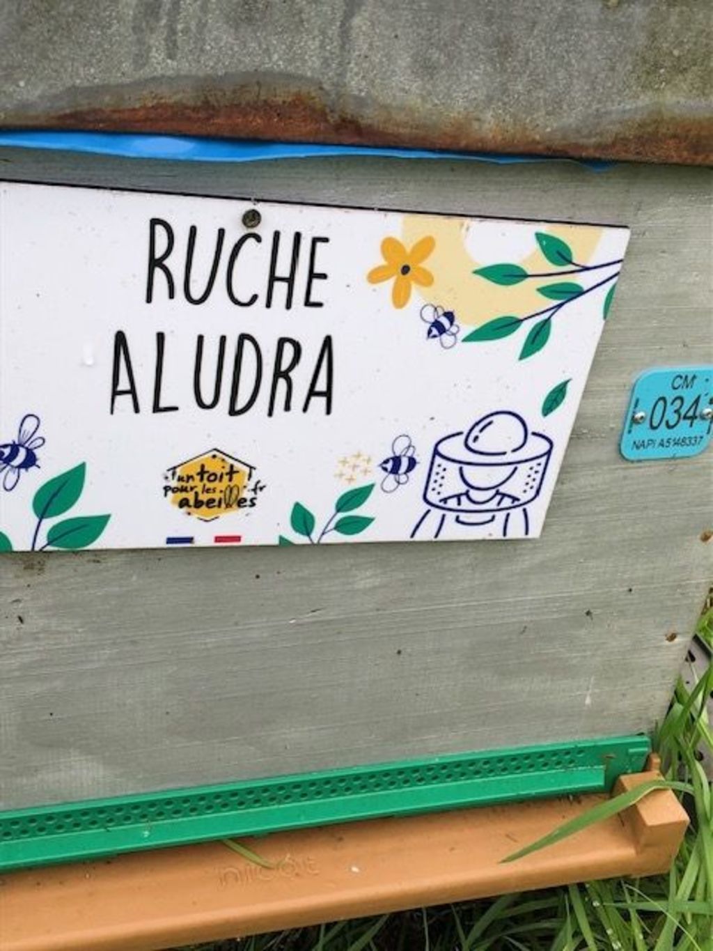La ruche Aludra