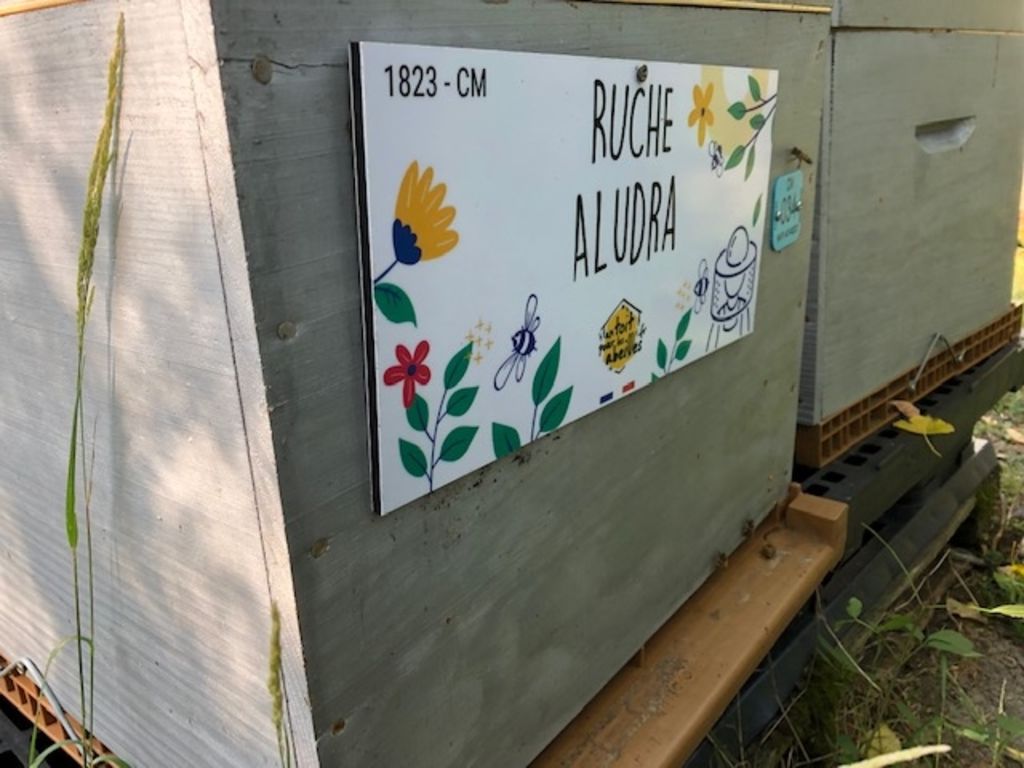 La ruche Aludra
