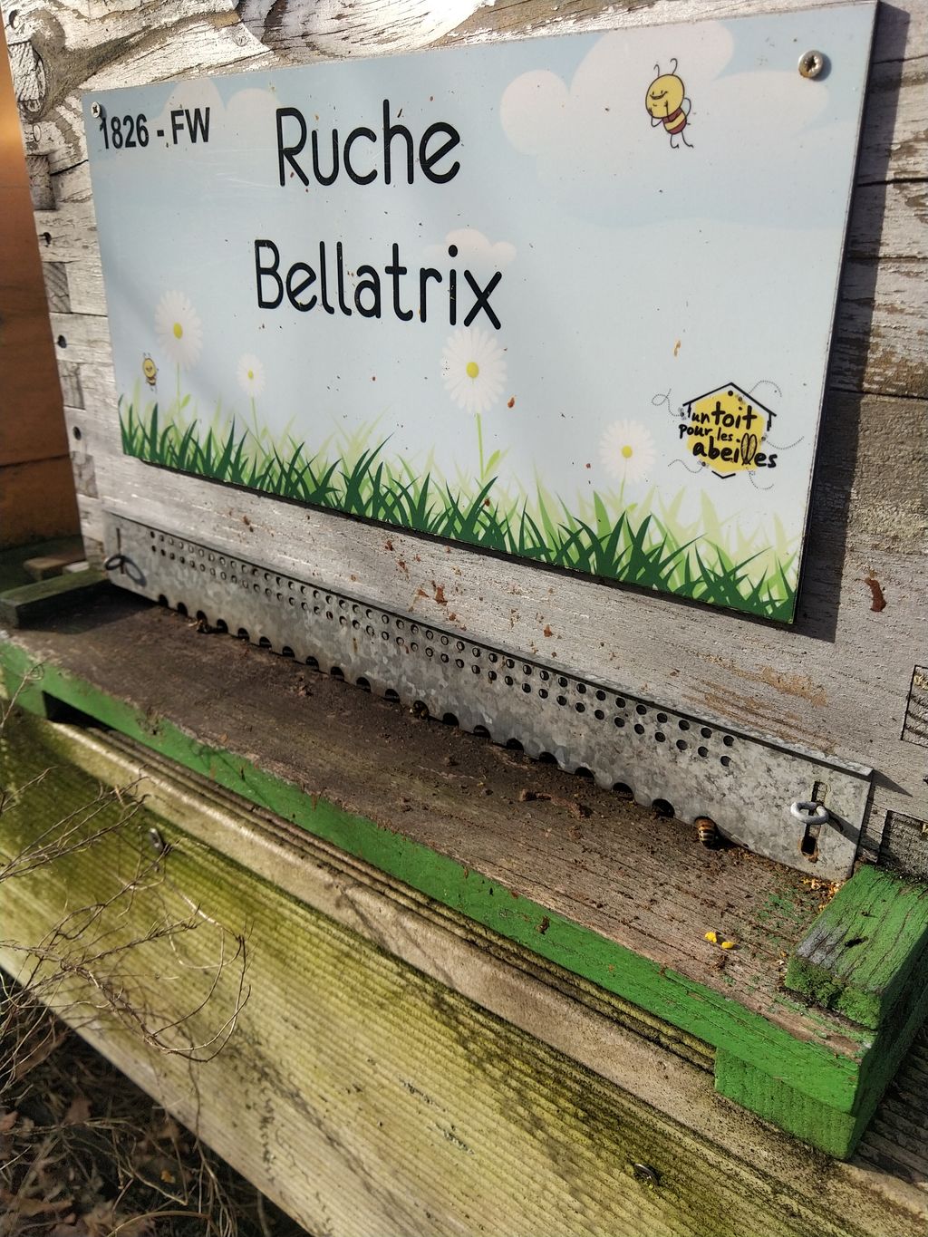 La ruche Bellatrix