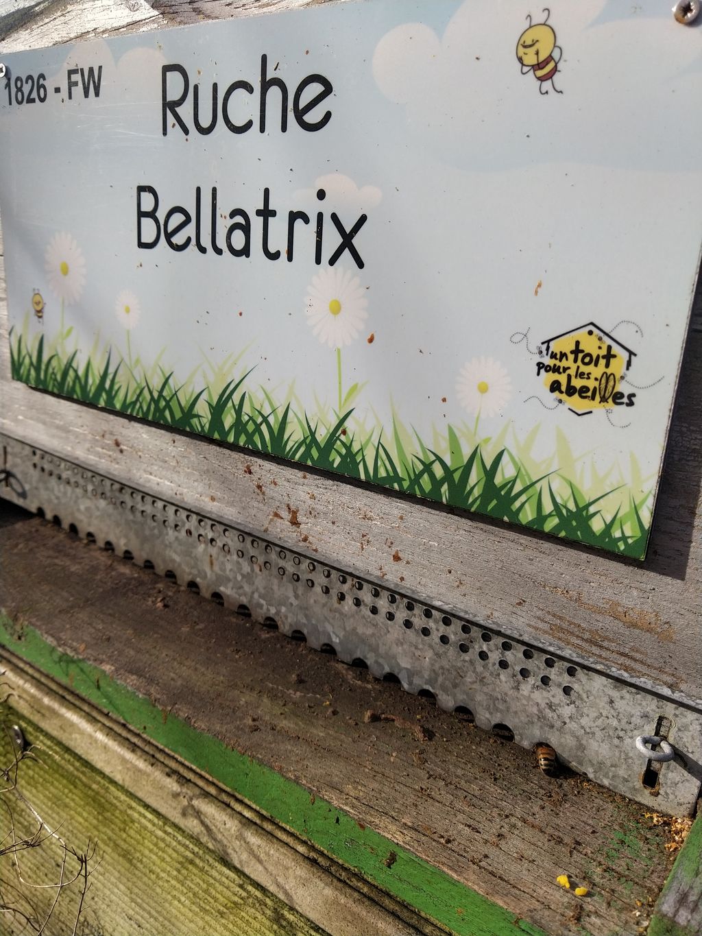 La ruche Bellatrix
